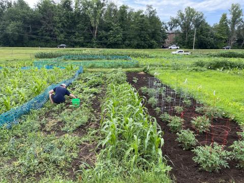 devin garden